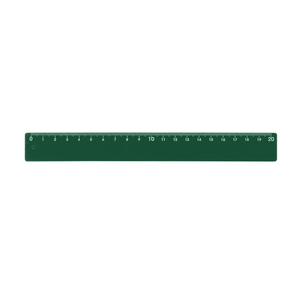 Régua Plástica 20cm-13724